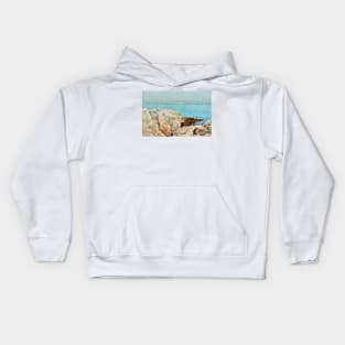 Duck Island by Childe Hassam Kids Hoodie